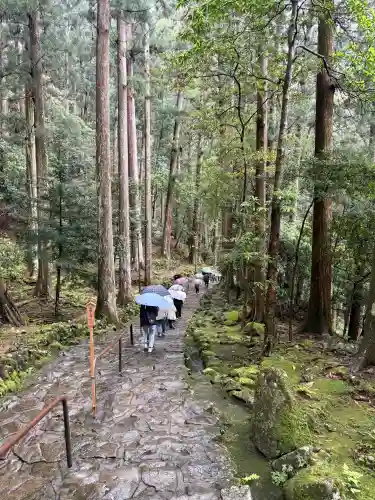 飛瀧神社（熊野那智大社別宮）の{uncategorized: "未分類", other: "その他", undefined: "問題あり", building: "その他建物", grave: "お墓", sacred_gate: "鳥居", guardian: "狛犬", statue: "像", buddha: "仏像", history: "歴史", nature: "自然", garden: "庭園", animal: "動物", pagoda: "塔", temizu: "手水舎", mountain_gate: "山門・神門", sanctuary: "本殿・本堂", subordinate: "末社・摂社", art: "芸術", scenery: "景色", jizo: "地蔵", ema: "絵馬", goshuin: "御朱印", omikuji: "おみくじ", items: "授与品その他", amulet: "お守り", goshuincho: "御朱印帳", eats: "食事", festival: "お祭り", votive_dance: "神楽", shichigosan: "七五三参", wedding: "結婚式", experience: "体験その他", initially: "初詣", around: "周辺", anti_infection: "感染症対策"}