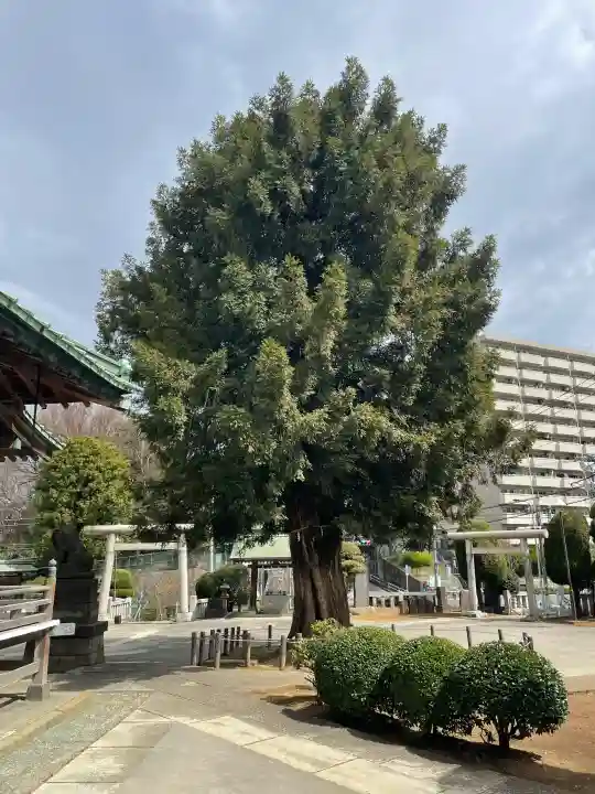 諏訪神社の{uncategorized: "未分類", other: "その他", undefined: "問題あり", building: "その他建物", grave: "お墓", sacred_gate: "鳥居", guardian: "狛犬", statue: "像", buddha: "仏像", history: "歴史", nature: "自然", garden: "庭園", animal: "動物", pagoda: "塔", temizu: "手水舎", mountain_gate: "山門・神門", sanctuary: "本殿・本堂", subordinate: "末社・摂社", art: "芸術", scenery: "景色", jizo: "地蔵", ema: "絵馬", goshuin: "御朱印", omikuji: "おみくじ", items: "授与品その他", amulet: "お守り", goshuincho: "御朱印帳", eats: "食事", festival: "お祭り", votive_dance: "神楽", shichigosan: "七五三参", wedding: "結婚式", experience: "体験その他", initially: "初詣", around: "周辺", anti_infection: "感染症対策"}