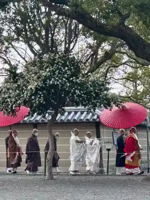 東寺(教王護国寺)の{uncategorized: "未分類", other: "その他", undefined: "問題あり", building: "その他建物", grave: "お墓", sacred_gate: "鳥居", guardian: "狛犬", statue: "像", buddha: "仏像", history: "歴史", nature: "自然", garden: "庭園", animal: "動物", pagoda: "塔", temizu: "手水舎", mountain_gate: "山門・神門", sanctuary: "本殿・本堂", subordinate: "末社・摂社", art: "芸術", scenery: "景色", jizo: "地蔵", ema: "絵馬", goshuin: "御朱印", omikuji: "おみくじ", items: "授与品その他", amulet: "お守り", goshuincho: "御朱印帳", eats: "食事", festival: "お祭り", votive_dance: "神楽", shichigosan: "七五三参", wedding: "結婚式", experience: "体験その他", initially: "初詣", around: "周辺", anti_infection: "感染症対策"}