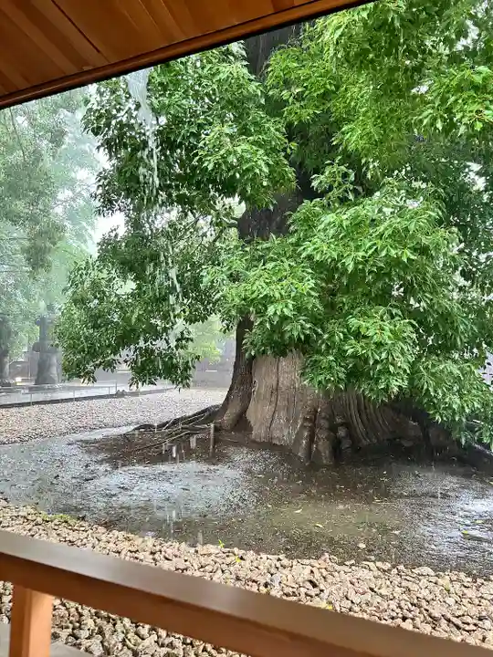 上野東照宮(東京都)