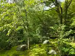 高山寺(京都府)