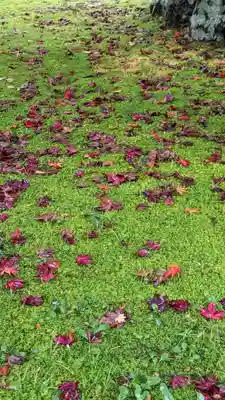 大原野神社(京都府)