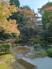 御寺 泉涌寺(京都府)