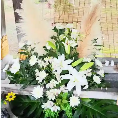 彌彦神社　(伊夜日子神社)の手水舎