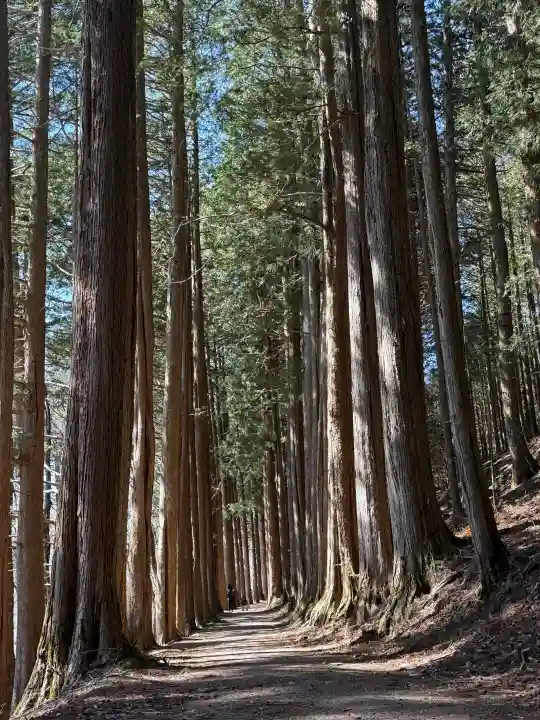 三峯神社奥宮の{uncategorized: "未分類", other: "その他", undefined: "問題あり", building: "その他建物", grave: "お墓", sacred_gate: "鳥居", guardian: "狛犬", statue: "像", buddha: "仏像", history: "歴史", nature: "自然", garden: "庭園", animal: "動物", pagoda: "塔", temizu: "手水舎", mountain_gate: "山門・神門", sanctuary: "本殿・本堂", subordinate: "末社・摂社", art: "芸術", scenery: "景色", jizo: "地蔵", ema: "絵馬", goshuin: "御朱印", omikuji: "おみくじ", items: "授与品その他", amulet: "お守り", goshuincho: "御朱印帳", eats: "食事", festival: "お祭り", votive_dance: "神楽", shichigosan: "七五三参", wedding: "結婚式", experience: "体験その他", initially: "初詣", around: "周辺", anti_infection: "感染症対策"}
