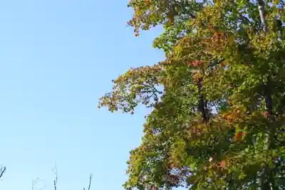 吉野神宮(奈良県)