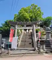 總鎮守八幡神社(愛媛県)
