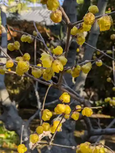 蓮光寺(東京都)