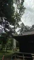 玉太岡神社(埼玉県)