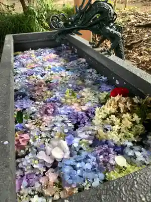 下野 星宮神社の手水舎