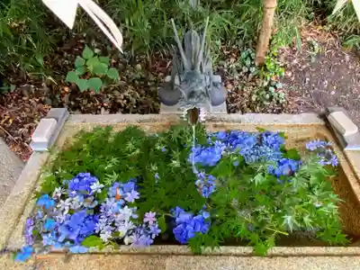 星宮神社(栃木県)