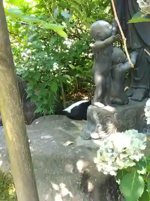 御誕生寺（猫寺）(福井県)