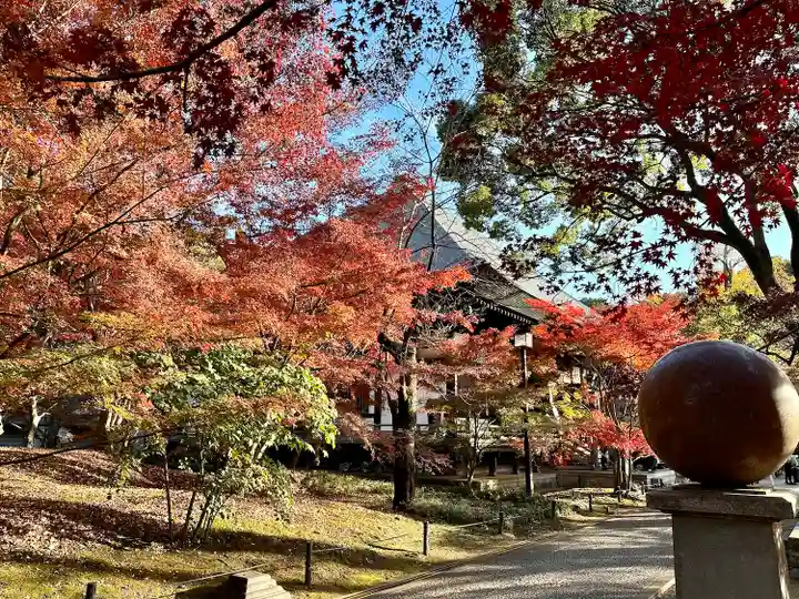 淨眞寺(東京都)