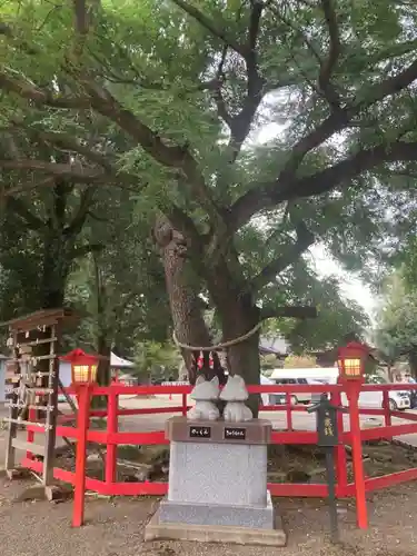 箭弓稲荷神社の庭園