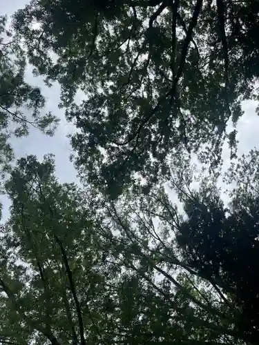 大國魂神社(東京都)