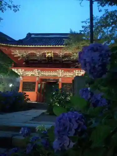楽法寺（雨引観音）の山門・神門