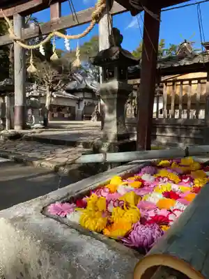 柏原八幡宮の手水舎