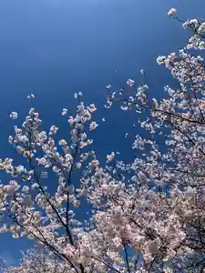 滑川神社 - 仕事と子どもの守り神(福島県)(2026年04月07日(火) 12時54分50秒投稿)