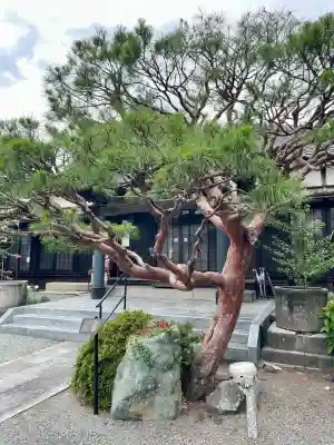 妙輪寺(神奈川県)