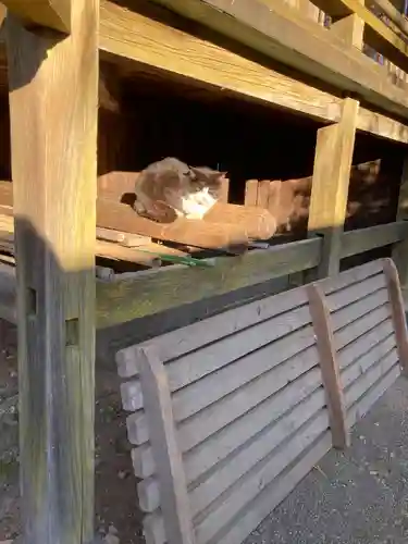 今市報徳二宮神社の動物