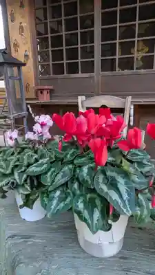 香雪院(京都府)