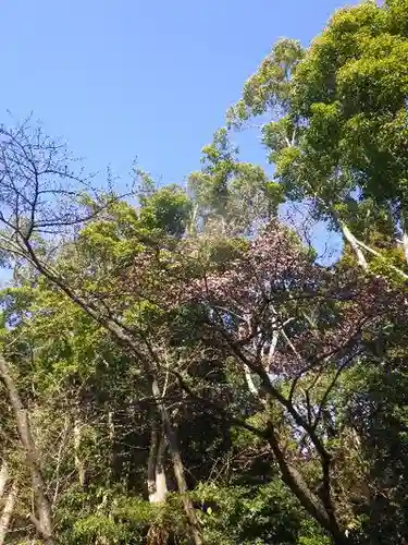 鶴岡八幡宮の自然