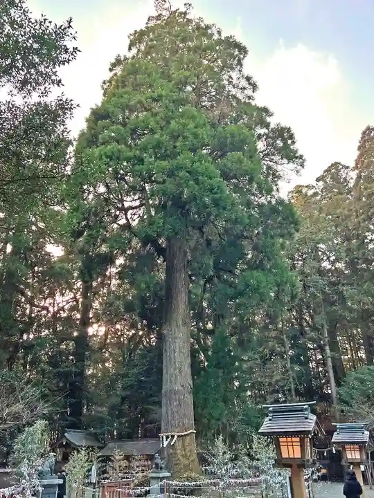 狭野神社(宮崎県)