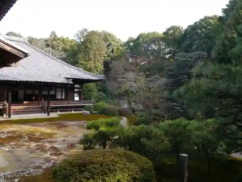 隨心院（随心院）の庭園