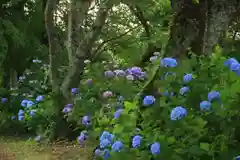 長屋神社の庭園