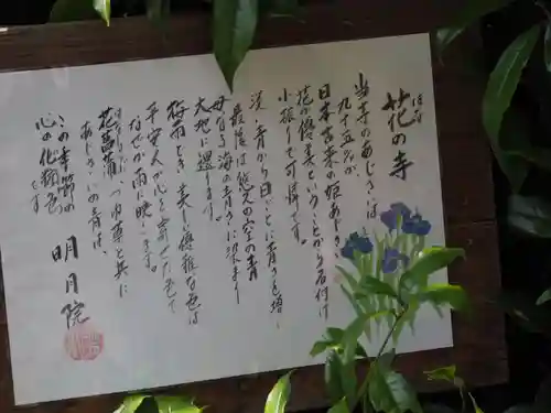 明月院(神奈川県)