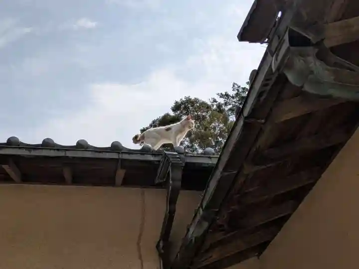 柏諏訪神社(千葉県)
