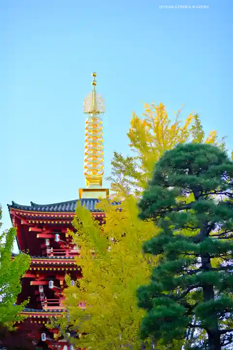高幡不動尊 金剛寺(東京都)