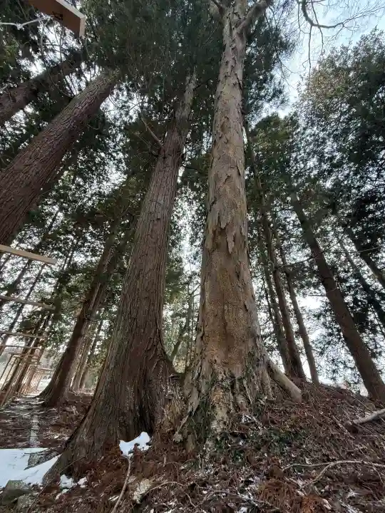 岩上神社の{uncategorized: "未分類", other: "その他", undefined: "問題あり", building: "その他建物", grave: "お墓", sacred_gate: "鳥居", guardian: "狛犬", statue: "像", buddha: "仏像", history: "歴史", nature: "自然", garden: "庭園", animal: "動物", pagoda: "塔", temizu: "手水舎", mountain_gate: "山門・神門", sanctuary: "本殿・本堂", subordinate: "末社・摂社", art: "芸術", scenery: "景色", jizo: "地蔵", ema: "絵馬", goshuin: "御朱印", omikuji: "おみくじ", items: "授与品その他", amulet: "お守り", goshuincho: "御朱印帳", eats: "食事", festival: "お祭り", votive_dance: "神楽", shichigosan: "七五三参", wedding: "結婚式", experience: "体験その他", initially: "初詣", around: "周辺", anti_infection: "感染症対策"}