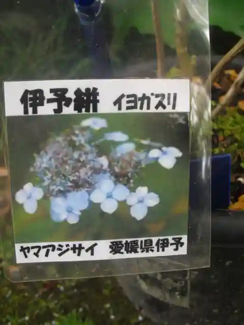 光則寺のその他建物