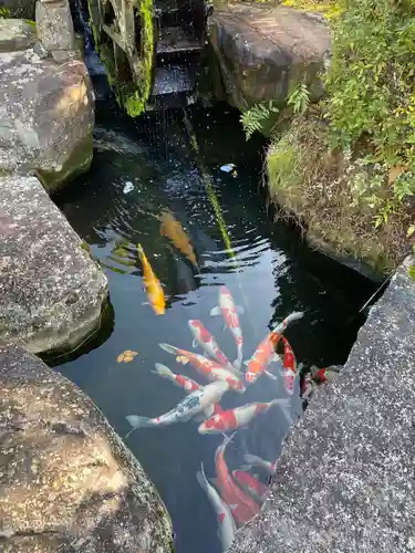 萬勝寺（飯高観音）の庭園