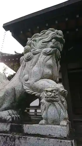 大経寺の狛犬