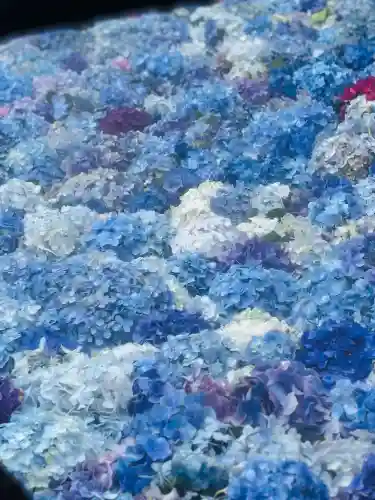 楽法寺（雨引観音）の{uncategorized: "未分類", other: "その他", undefined: "問題あり", building: "その他建物", grave: "お墓", sacred_gate: "鳥居", guardian: "狛犬", statue: "像", buddha: "仏像", history: "歴史", nature: "自然", garden: "庭園", animal: "動物", pagoda: "塔", temizu: "手水舎", mountain_gate: "山門・神門", sanctuary: "本殿・本堂", subordinate: "末社・摂社", art: "芸術", scenery: "景色", jizo: "地蔵", ema: "絵馬", goshuin: "御朱印", omikuji: "おみくじ", items: "授与品その他", amulet: "お守り", goshuincho: "御朱印帳", eats: "食事", festival: "お祭り", votive_dance: "神楽", shichigosan: "七五三参", wedding: "結婚式", experience: "体験その他", initially: "初詣", around: "周辺", anti_infection: "感染症対策"}