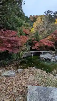 三宅八幡宮(京都府)