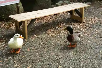 平塚八幡宮(神奈川県)
