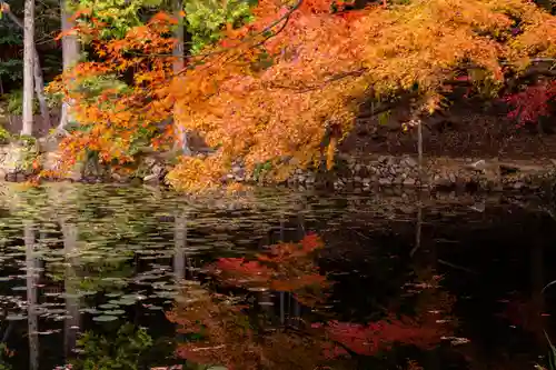 大原野神社(京都府)