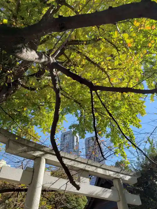 熊野神社(東京都)