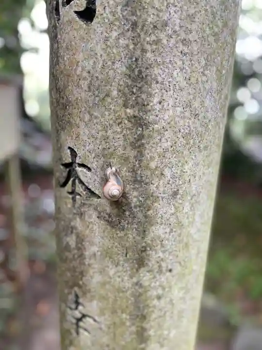 玉祖神社の動物
