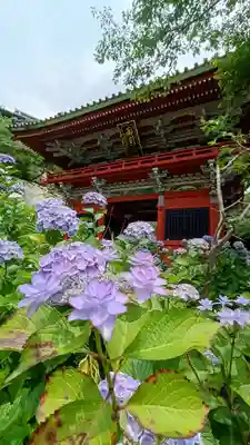 楽法寺(雨引観音)(茨城県)