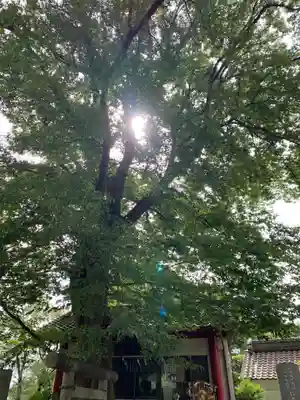 加波山普明神社(茨城県)