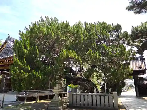 高砂神社の自然