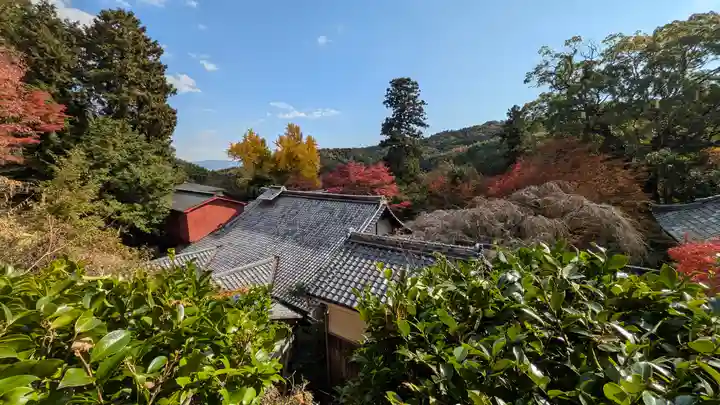 十輪寺(京都府)