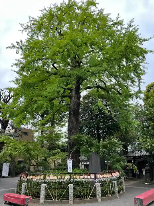 七社神社(東京都)