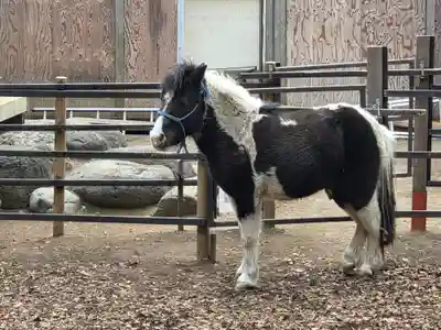 平塚八幡宮(神奈川県)