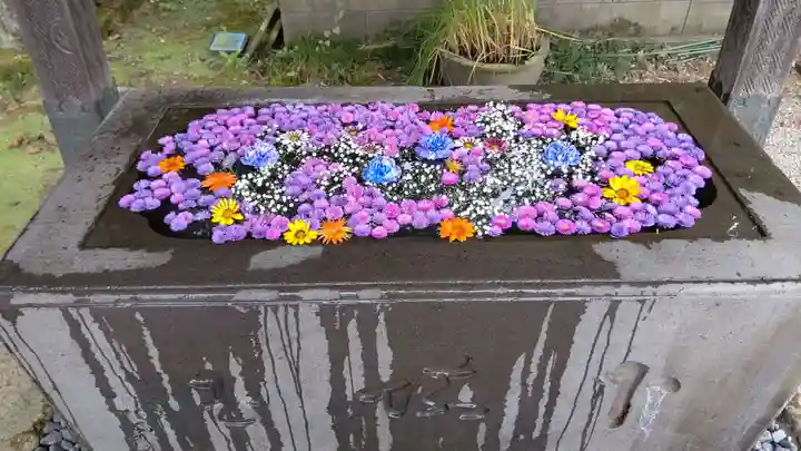 前玉神社の手水舎