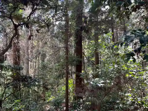 日吉神社(千葉県)